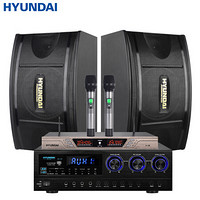 现代（HYUNDAI）HY-110A+U28套装 家庭影院KTV音响组合套装 家用卡拉OK会议舞台功放音响设备客厅