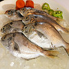 老鱼的鱼 舟山鸭蛋鲳鱼 500g/袋 舟山原产地 烧烤