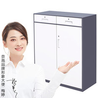 奈高NG文件柜办公柜资料柜档案柜储物拆装柜灰白中二斗下节薄边