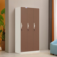 中伟更衣柜员工柜带门锁铁皮柜储物柜寄存包柜鞋柜浴室健身换衣柜彩色三门更衣柜定制款咖啡色