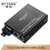 博扬(BOYANG)BY-DG102S 千兆一光二电单模双纤光纤收发器交换机 光纤转换器 防雷SC接口 25公里外置电源