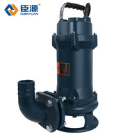臣源 CHENYUAN切割式污水泵220V潜水泵家用农用高扬程大流量抽化粪池猪粪沼气池无堵塞 2200W切割式污水泵2寸口径