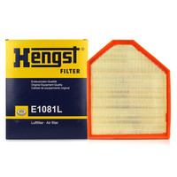 汉格斯特(Hengst)空气滤清器*滤芯格E1081L(宝马X3(F25)/X4(F26) 2.0T)