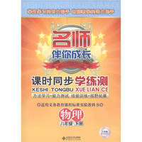 名师伴你成长·课时同步学练测：物理（8年级下·人教版）