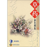 草药彩色图集1