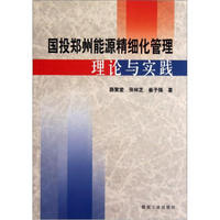 国投郑州能源精细化管理理论与实践