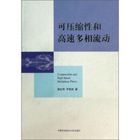 可压缩性和高速多相流动