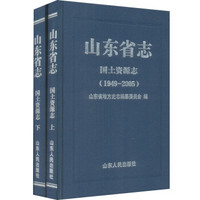 山东省志国土资源志（1949-2005 套装上下册）