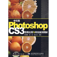 中文版Photoshop CS3图像处理与等效案例精解（附DVD光盘1张）