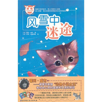风雪中迷途