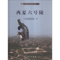 宁夏文物考古研究所丛刊(24):西夏六号陵