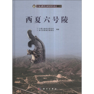 宁夏文物考古研究所丛刊（24）：西夏六号陵