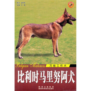 比利时马里努阿犬（万能工作犬）