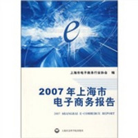 2007年上海市电子商务报告
