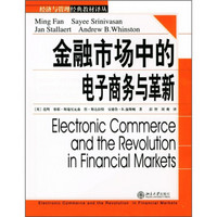 金融学精选教材译丛·金融市场中的电子商务与革新（第1版）
