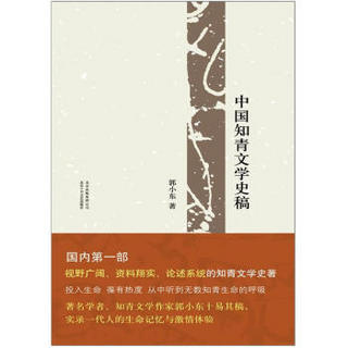 中国知青文学史稿