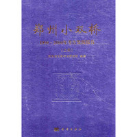郑州小双桥：1990～2000年考古发掘报告（套装上下册）