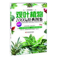 观叶植物1000种经典图鉴（终极版）