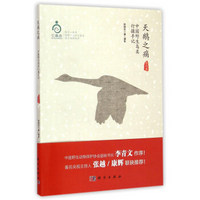 天鹅之痛：中国野生鸟类行摄手记（修订版）
