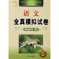 高中起点升本专科全国各类成人高等学校招生考试：语文全真模拟试卷