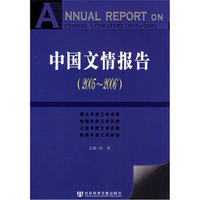 中国文情报告（2005-2006）