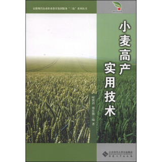 安徽现代农业职业教育集团服务“三农”系列丛书：小麦高产实用技术
