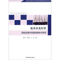 环保公益性行业科研专项经费项目系列丛书:废弃荧光灯管回收处理与风险控制技术研究