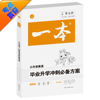 2016年一本 小升初毕业升学冲刺必备方案：小升初英语（系统总复习）　开心考试