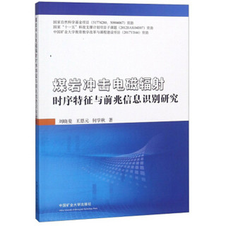 煤岩冲击电磁辐射时序特征与前兆信息识别研究