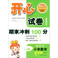 开心试卷ABC期末冲刺100分数学一年级上册人教版（单元综合能力测试卷 专项卷 期中试卷 期末试卷）