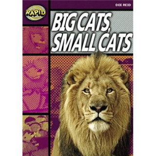 Rapid Reading-Stage 1 Set A: Big Cats