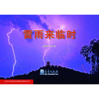 大自然探索发现警觉避险丛书：雷雨来临时
