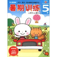 多湖辉新头脑开发丛书：暑期训练5岁