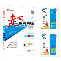 走向中考考场 九年级化学下 山东教育版 2019春