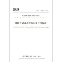 中国工程建设标准化协会标准（T/CECS G：D67-01-2018）：公路桥梁灌注桩后压浆技术规程