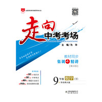 走向中考考场 九年级数学下 华东师大版 2017春