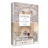 大中东行纪(修订版,全彩印刷)