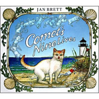 Comet's Nine Lives