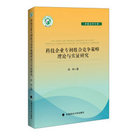 科技企业专利组合竞争策略理论与实证研究