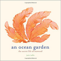 An Ocean Garden: The Secret Life Of Seaweed