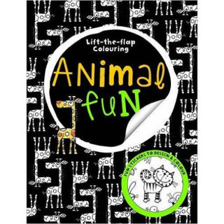 Big Busy Colouring Lift The Flap Animal Fun