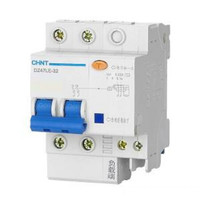 正泰(CHNT)DZ47LE-32 2P16AC漏电断路器 /个 定制