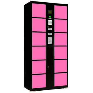 富路达 电子存包柜 超市商场投币收费储物存包柜 （可订制公司LOGO、颜色）（12门投币存包柜）