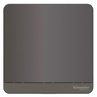 Schneider Electric 施耐德电气 绎尚灰 开关