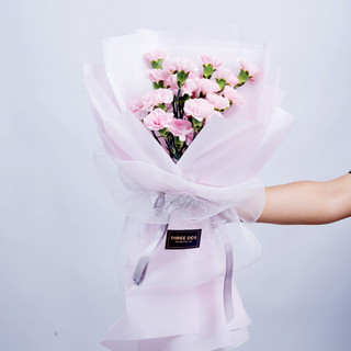世纪奥桥 19朵粉色康乃馨 鲜花速递 花束礼盒 节日礼物 顺丰配送