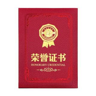 绍泽文化 荣誉证书烫金颁奖奖状6K附赠内芯 10本装