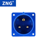 ZNG 暗装器具输入插座3芯16a 单相三线16a3p工业反插座暗装 5个装ZNG-613