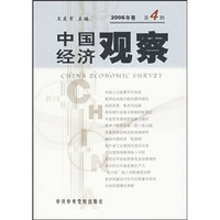 中国经济观察（2006年卷·第4辑）