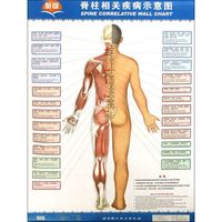 新版脊柱相关疾病示意图