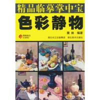 精品临摹掌中宝：色彩静物